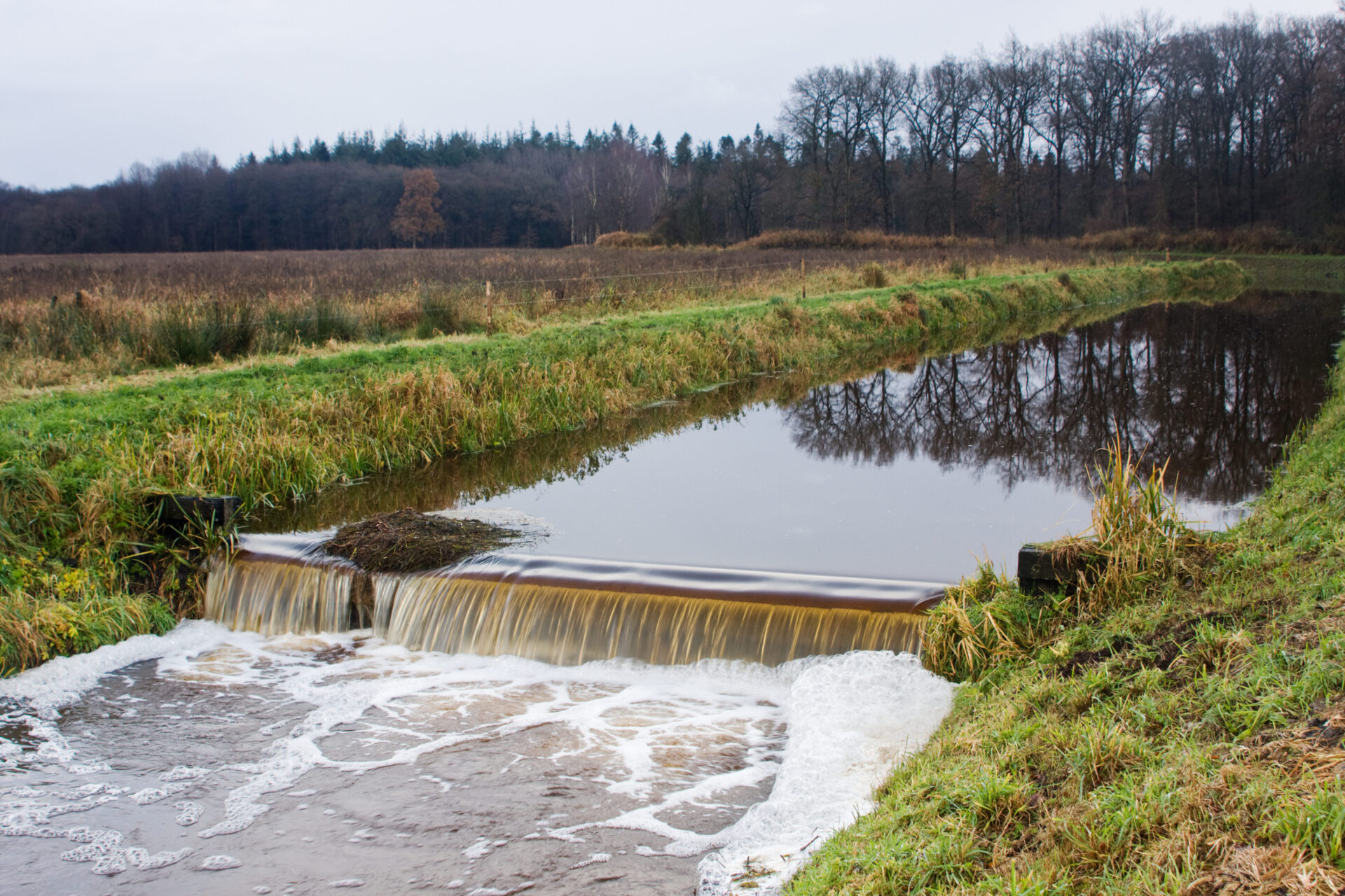 Sportvisserij - adviseur waterbeheer 1