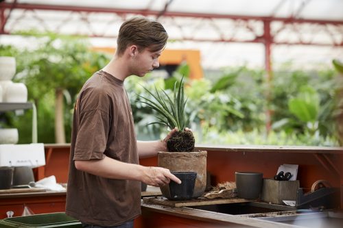 Groene detailhandel niveau 3