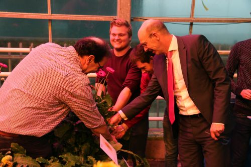 Zonext is de nieuwe bloem